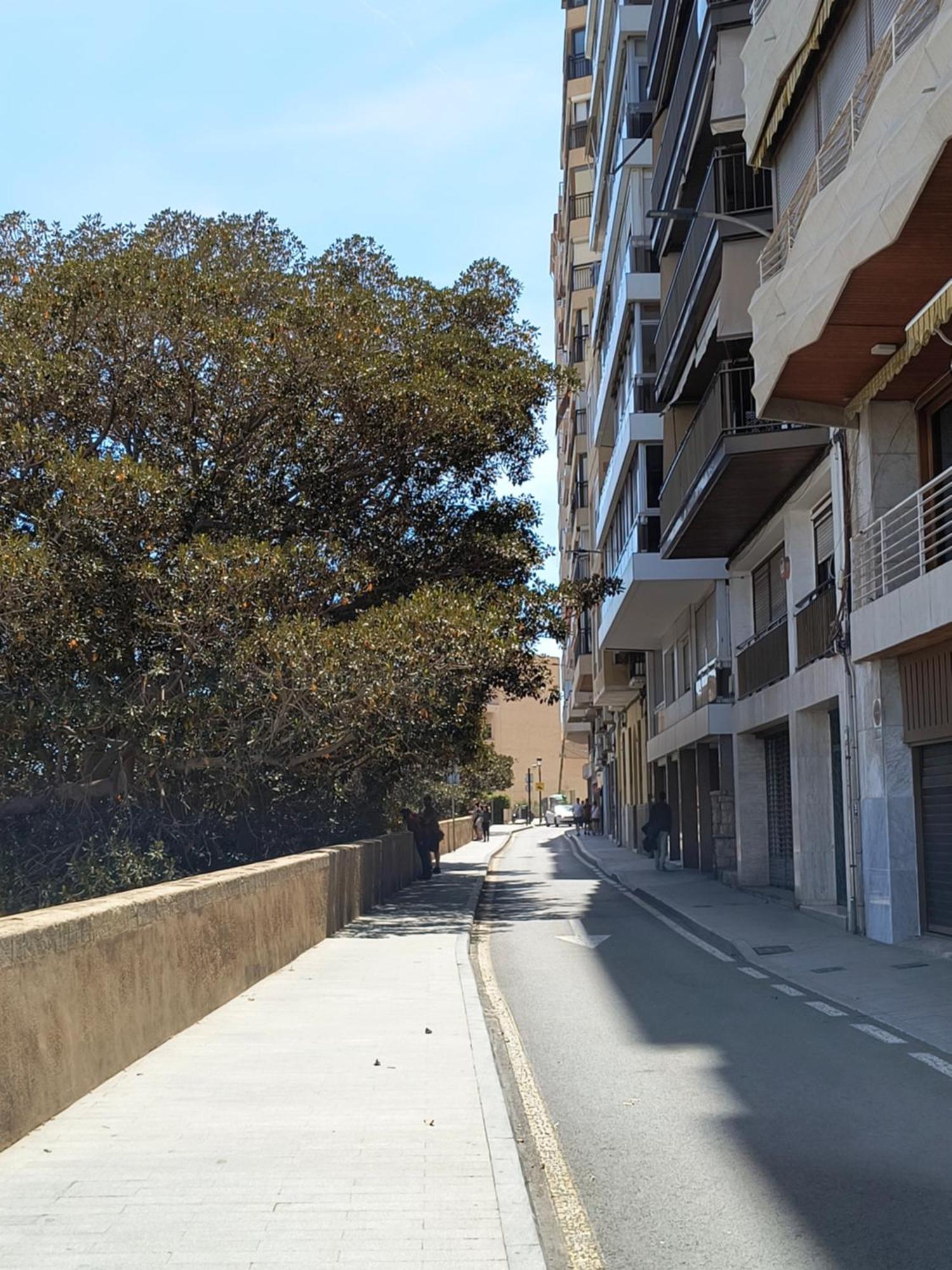 Apartamento Playa Alicante Dış mekan fotoğraf